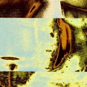 The Skin of the Earth