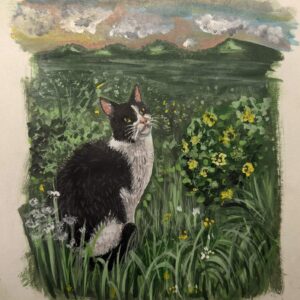 El Gato